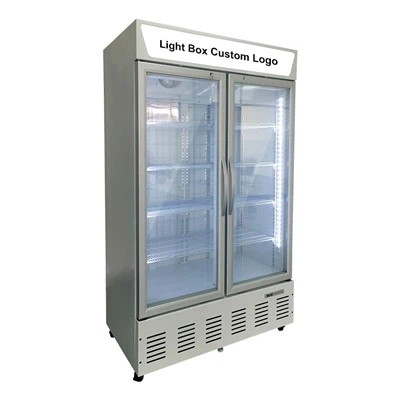 Reoiteoir Doras Gloine Upright
